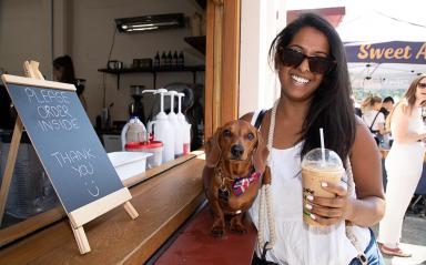 Calling dogs of Hobsonville Point: It’s your time to shine