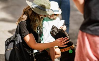Apartments loosening the leash on dog ownership