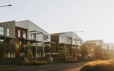 Te Uru terraces take home 2023 Architectural Design Awards