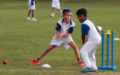 Catch Some Cricket This Summer