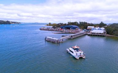 New Hobsonville Point ferry sailings coming in January 2021