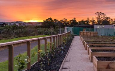 Plots to Love at Community Garden