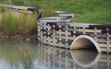 Isthmus Group Wins 'World Landscape of the Year'