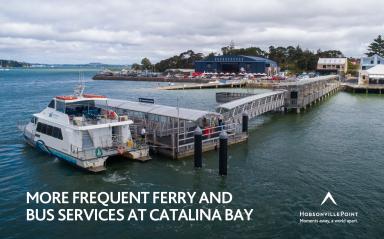 Increases to ferry and bus services at Hobsonville Point