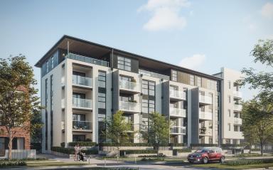 Kerepeti Takes Shape