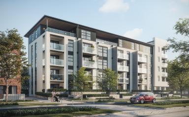 Innovative new provider of built-to-rent homes seeks local property manager for Hobsonville Point