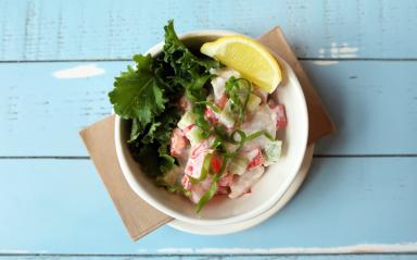 Point on a Plate: Creature comforts