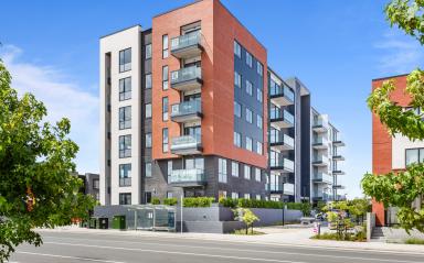 Long-term Rental Apartments coming to Hobsonville Point – Local Building Manager Needed!