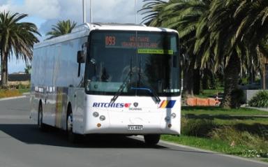 Bus Beats Driving Woes
