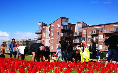 ANZAC DAY Hobsonville Point Community Peace Poppy Project