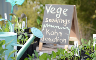 Thumbs up to local nursery