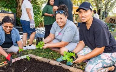 Teaching whānau how to grow, harvest, and cook their own kai