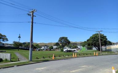 Partial access closure: Calliope Park