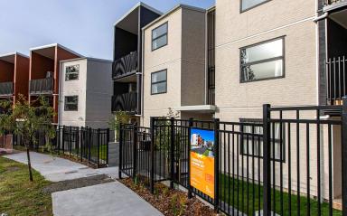 The new state homes on Gambia Place have “lots of room for a family to start a new life”