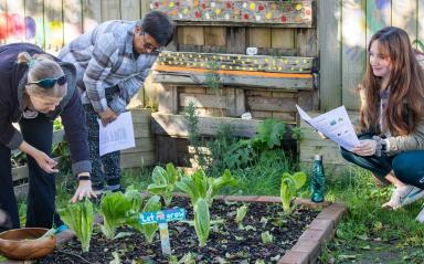 Oranga whānau learn to harvest and cook homegrown kai in free workshop