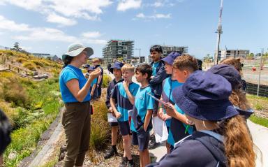 Te Ara Awataha – the result of a committed collaboration