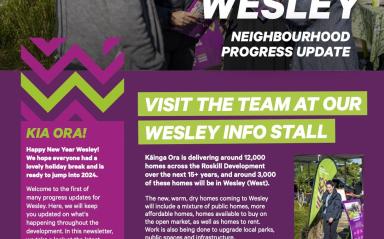 Wesley Summer 2024 Progress Update