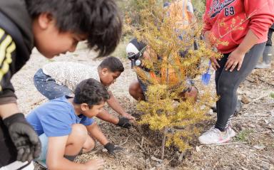 Our exciting new Environmental Cadetship Programme
