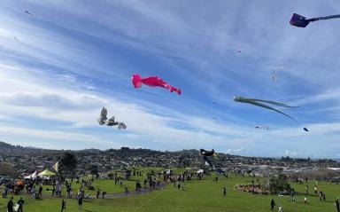 Matariki magic in Mount Roskill