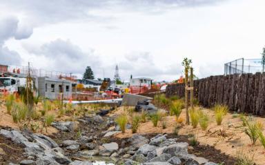 Making changes to how we maintain Te Ara Awataha