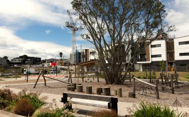 Pōhutukawa planting at Te Kāwai – Cadness Loop Reserve