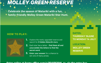 Hunt For Matariki Magic At Molley Green Reserve