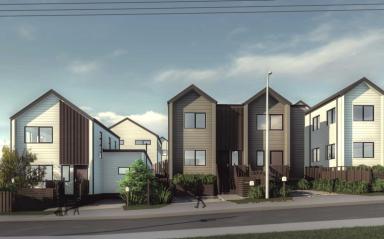 Government Launches New Vision for Mt Roskill