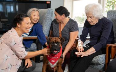 A place to call home at Anne Maree Court