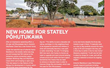 Aorere Progress Update Spring 2021