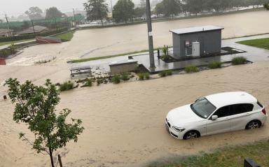 Greenslade Reserve does its job in Auckland’s floods