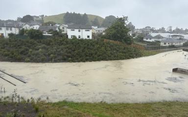 Freeland Reserve does its job in Auckland’s floods