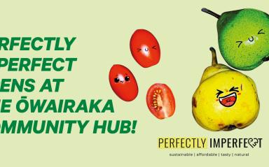 Perfectly Imperfect opens at the Ōwairaka Community Hub