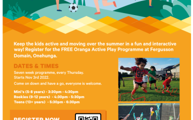 Active Play Programme