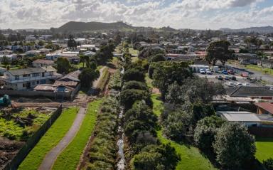 Springing back - community gets behind Tararata Creek’s regeneration