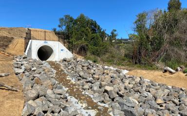 Tonar Street pipeline helps New Zealand’s longfin eel population to climb 