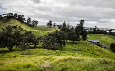 Maunga love